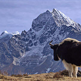 everest-1.jpg